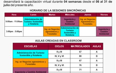 CAPACITACIÓN VIRTUAL DE ESTUDIANTES DE LA UNAH, en Plataformas Virtuales