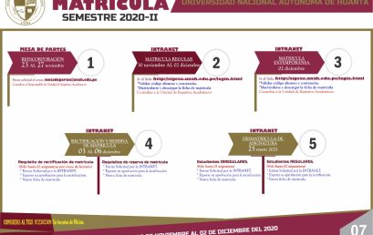 PROCESO DE MATRÍCULA PARA ALUMNOS REGULARES E INGRESANTES