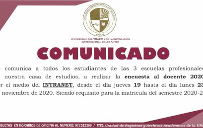 Encuesta al docente 2020 por Intranet