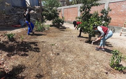 BIOHUERTOS URBANOS EN LA CASA HOGAR JUAN PABLO II