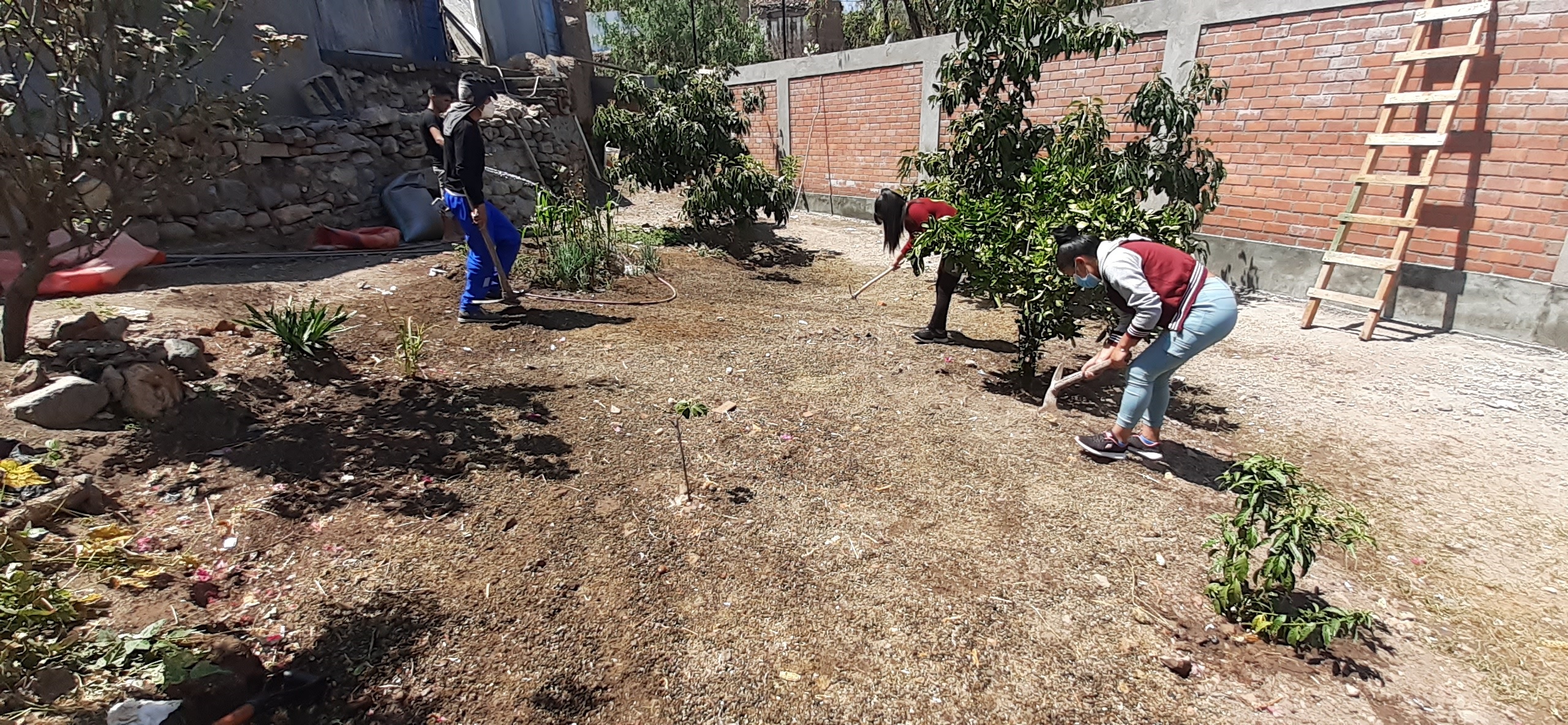 BIOHUERTOS URBANOS EN LA CASA HOGAR JUAN PABLO II