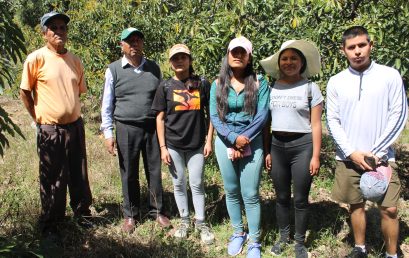 ESTUDIANTES BRINDAN ASESORAMIENTO A PRODUCTORES DE PALTO.