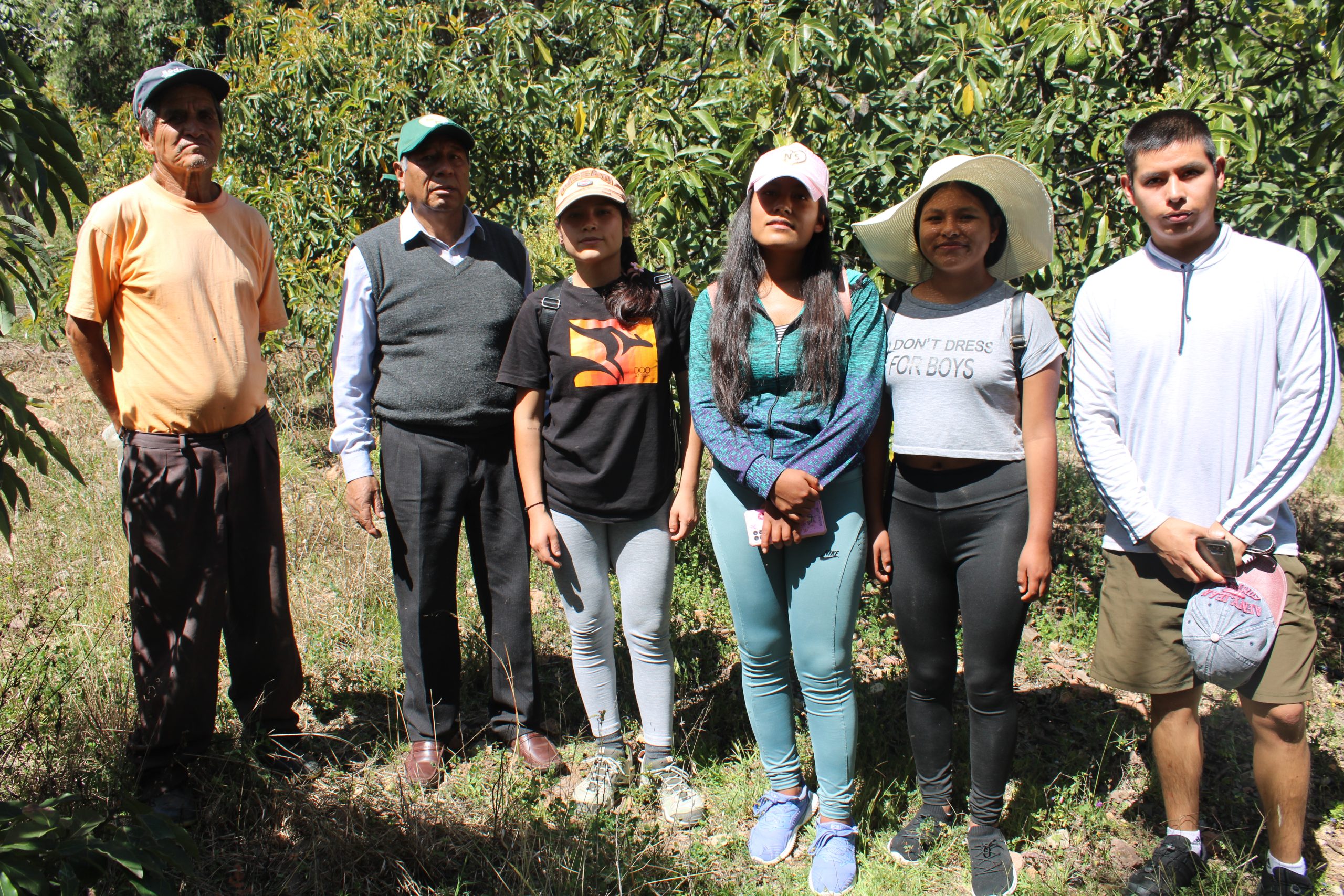 ESTUDIANTES BRINDAN ASESORAMIENTO A PRODUCTORES DE PALTO.