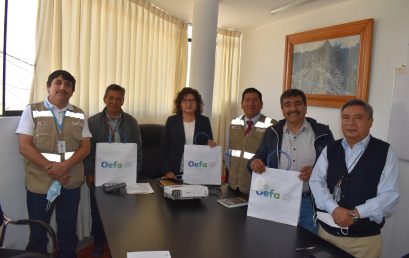 VISITA DEL ORGANISMO DE EVALUACIÓN Y FISCALIZACIÓN AMBIENTAL